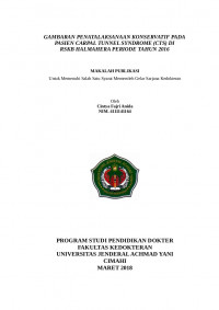 Gambaran Penatalaksanaan Konservatif Pada Pasien Carpal Tunnel Syndrome (CTS) Di Rskb Halmahera Periode Tahun 2016