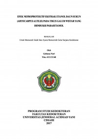 Efek Nefroprotektif Ekstrak Etanol Daun Sukun (Artocarpus Altilis) Pada Tikus Galur Wistar Yang Diinduksi Parasetamol